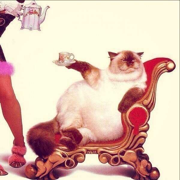 Ваш кофе, сэр