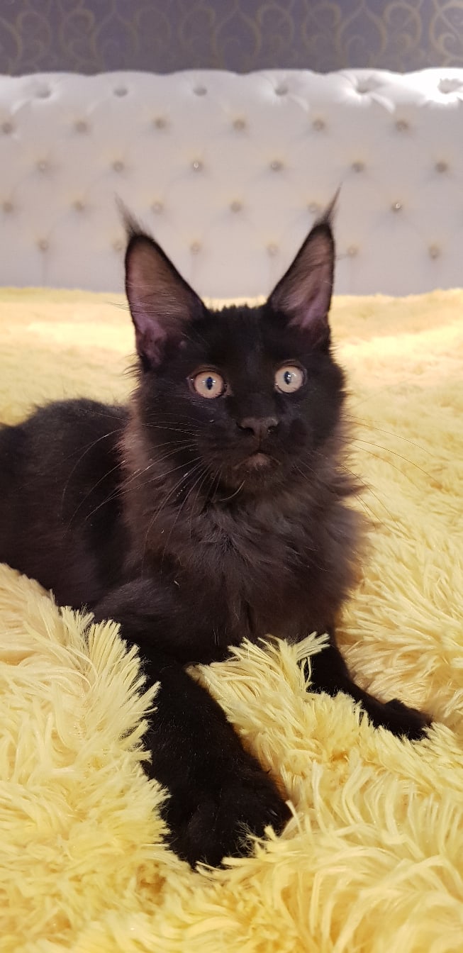 Что делаю, лежу