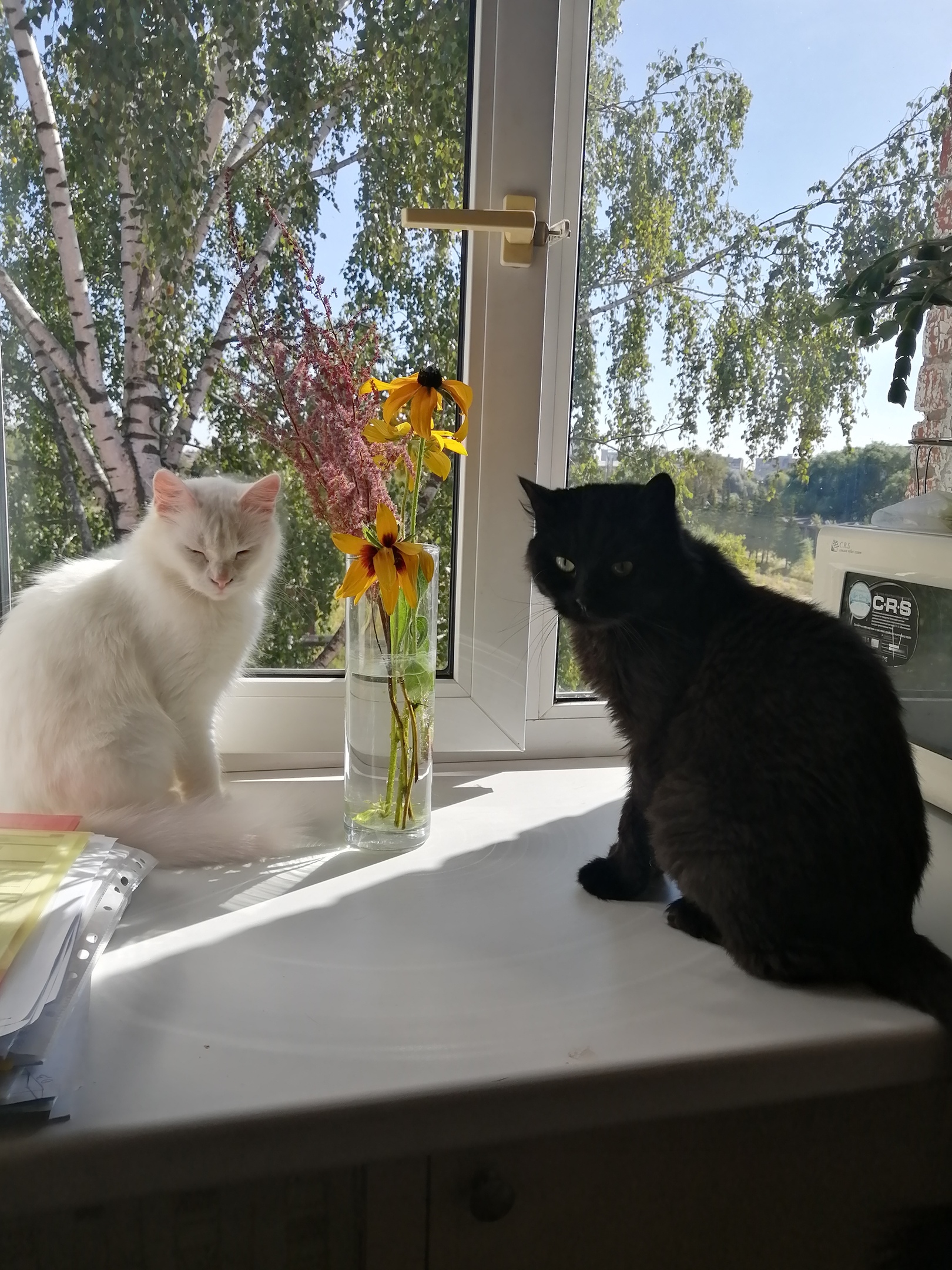 А за окном осень