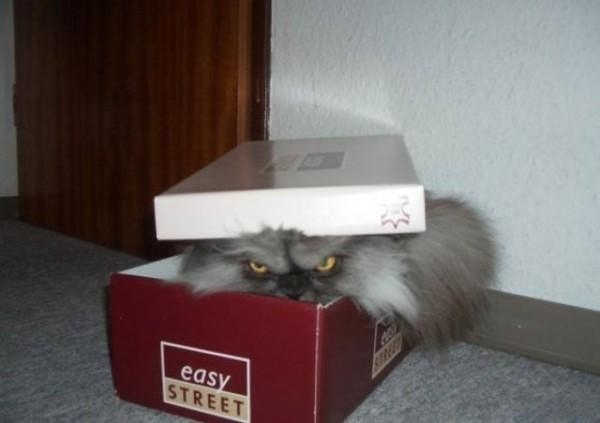 Вы что меня не ищите