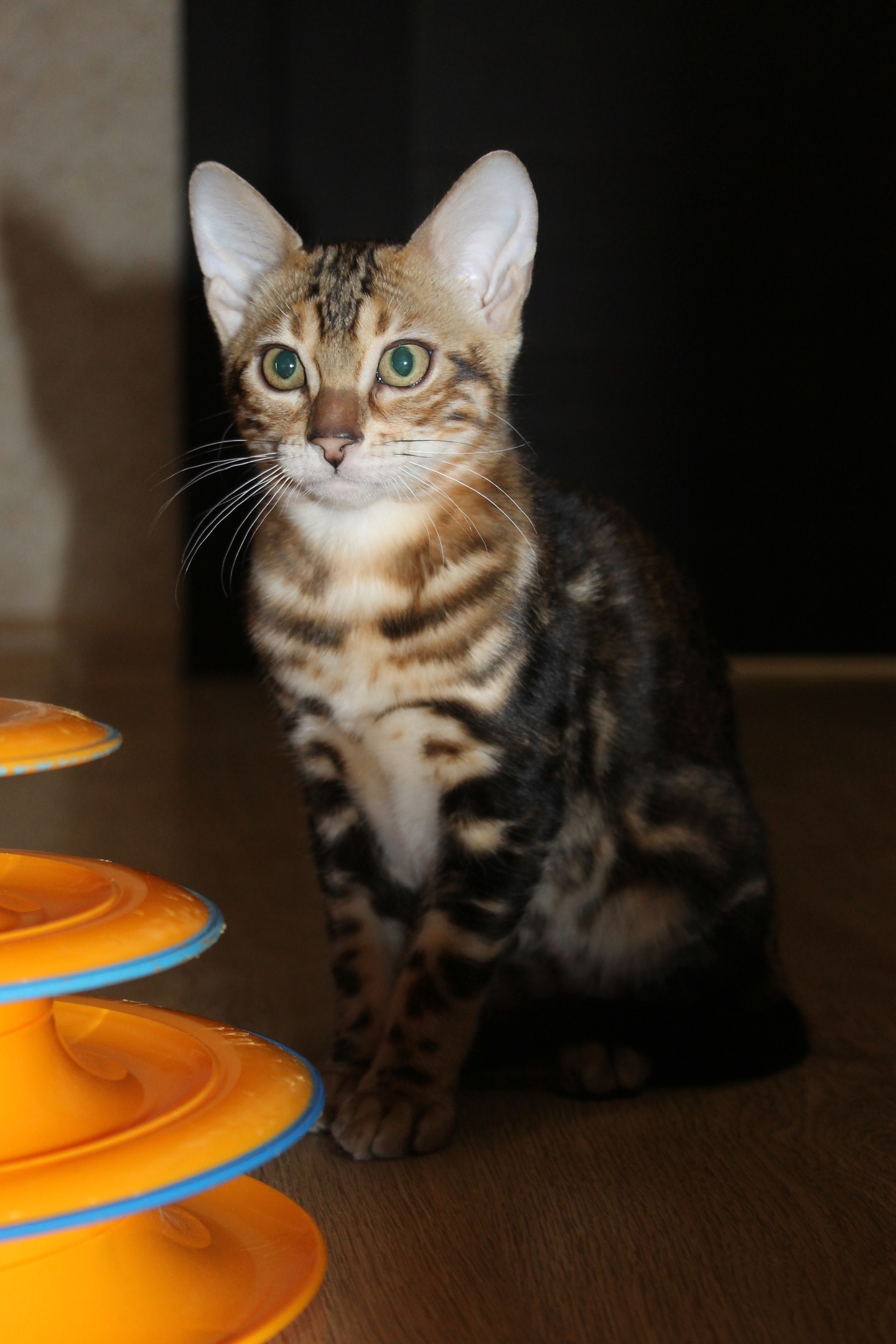 И как с этой игрушкой играть