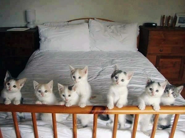 Младшая группа проснулась