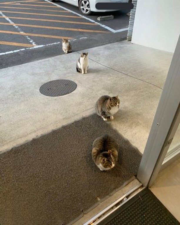 Очередь в магазин