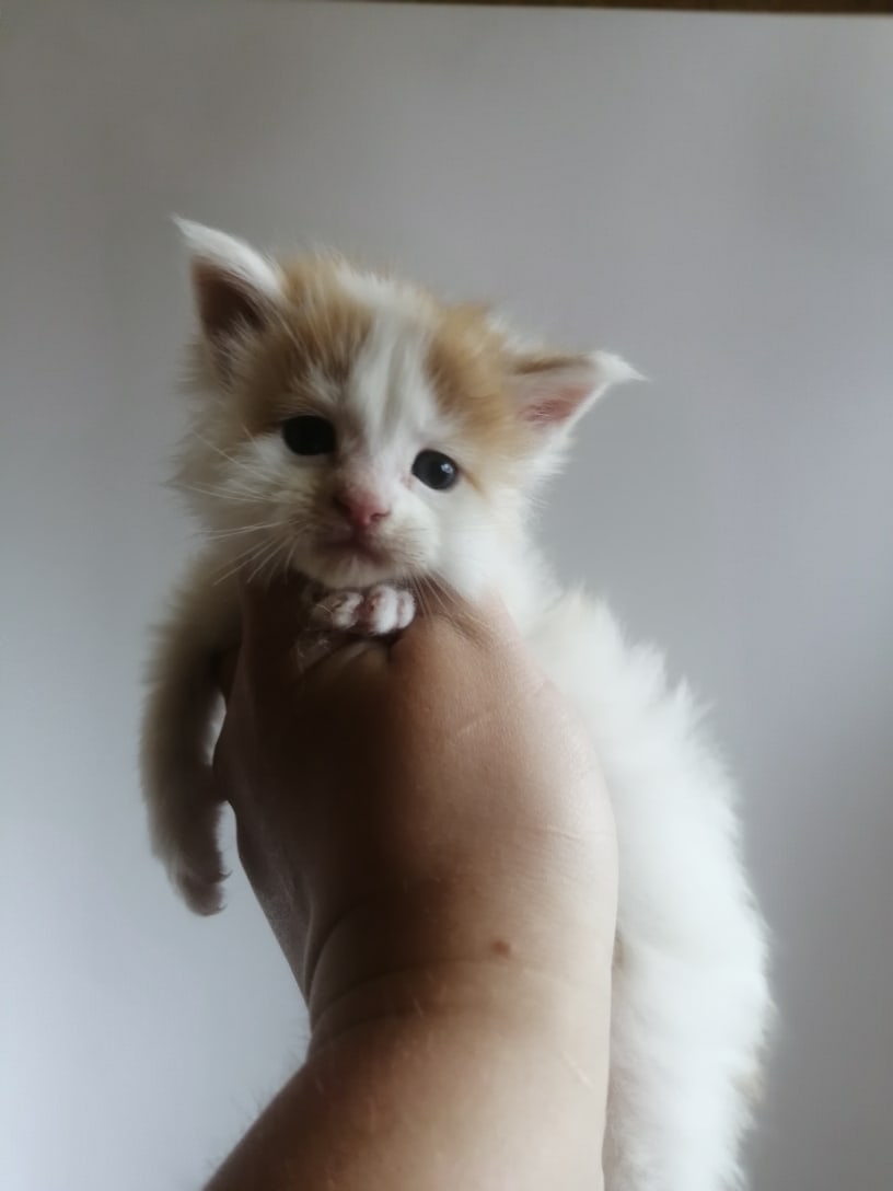 В новом доме