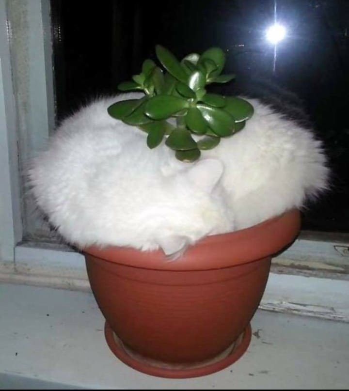 Я тебя согрею, а ты расти быстрее