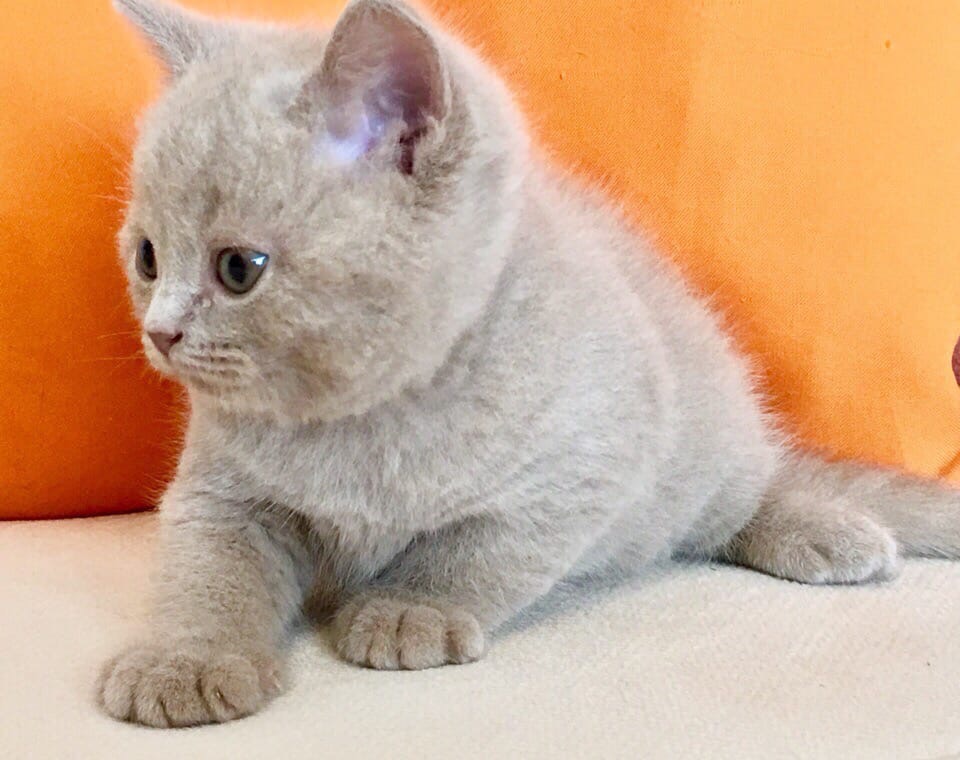 Чем бы мне заняться