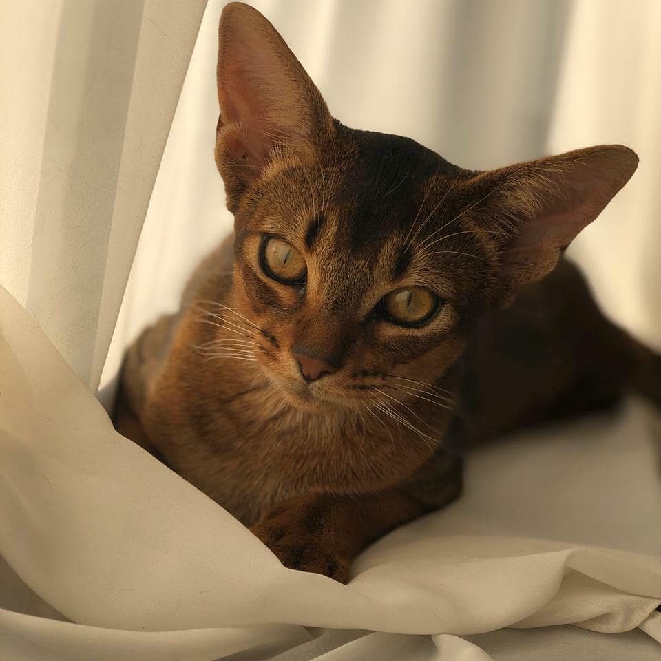 Кто меня потерял