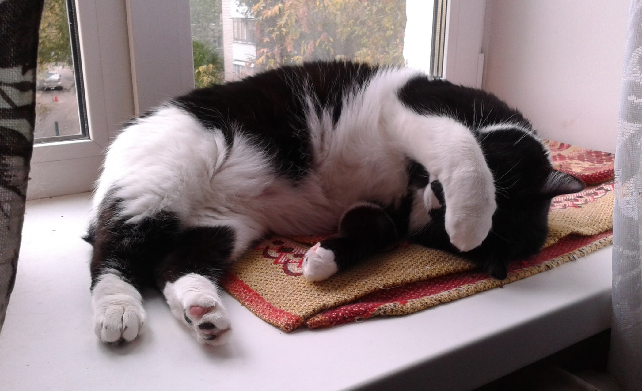 Утро наступило, а просыпаться не хочется