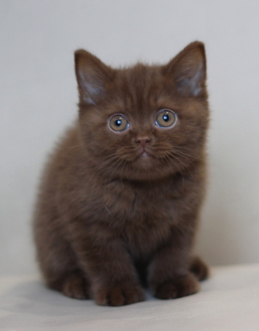 А фотографироваться, не больно