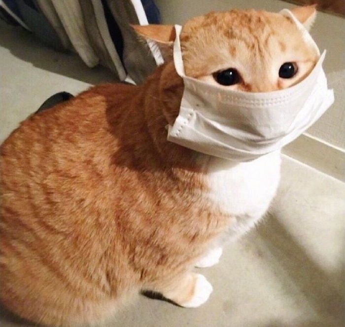 Маску одела, можно погулять