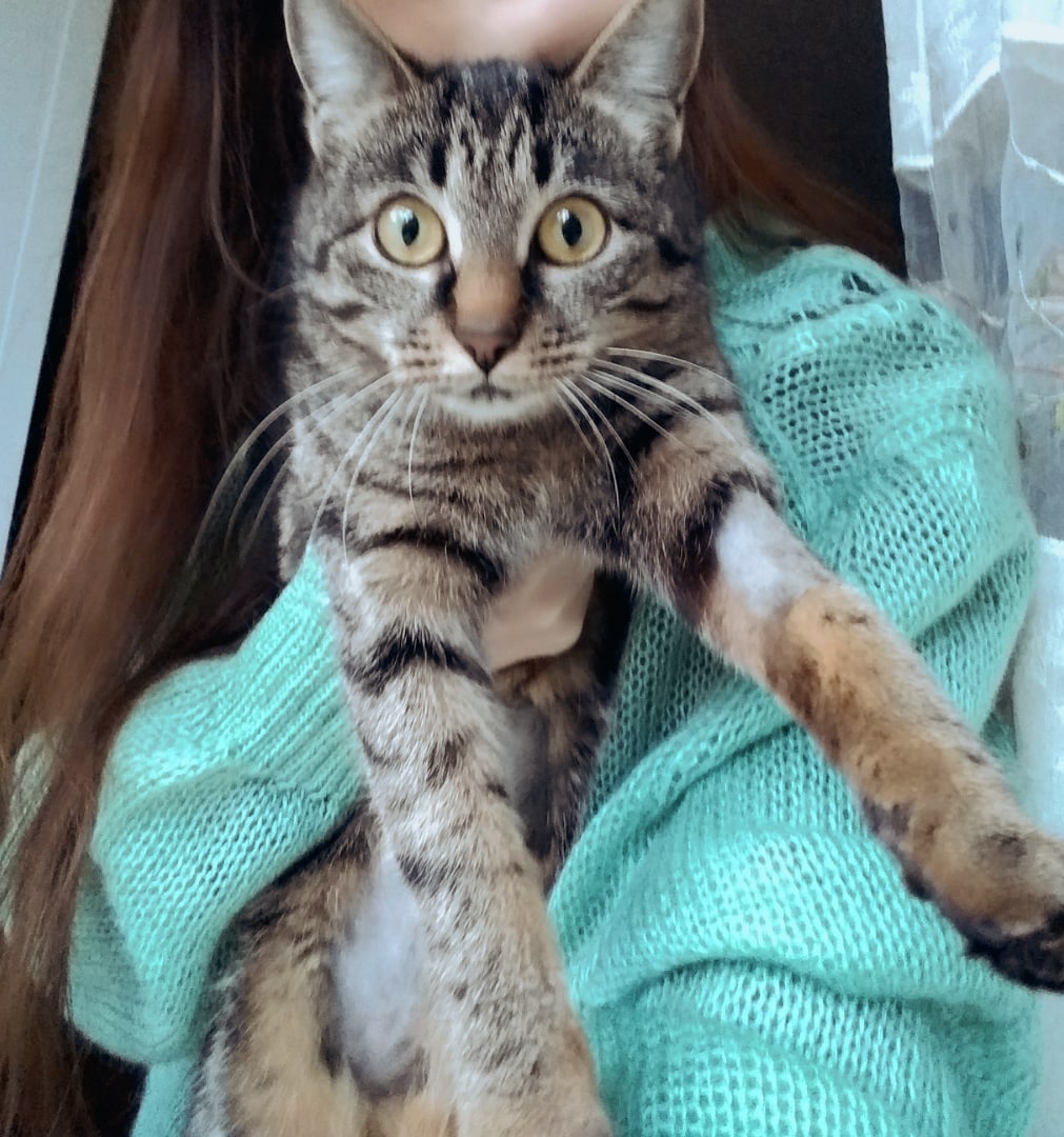 Вы зачем меня сфотографировали