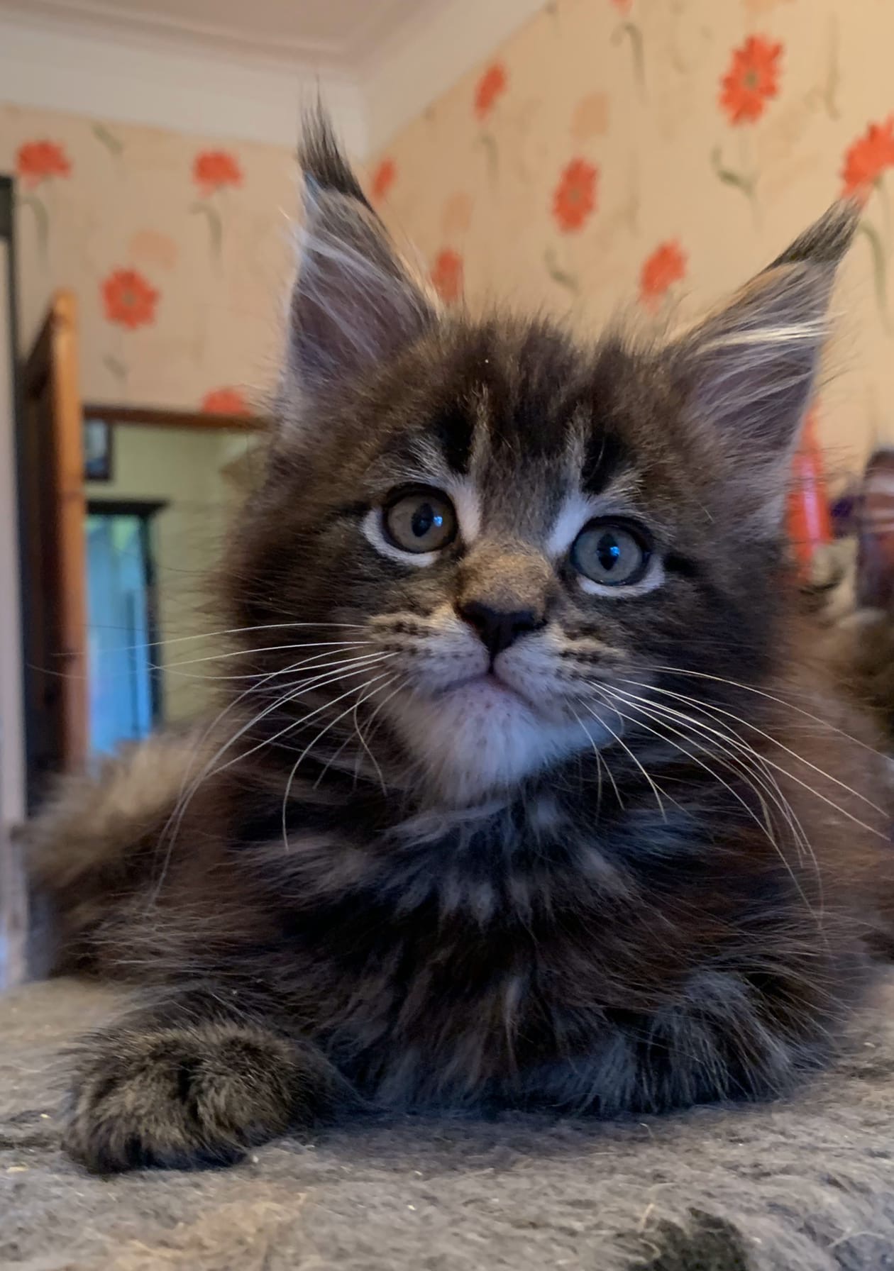 Ну давайте, рассказывайте