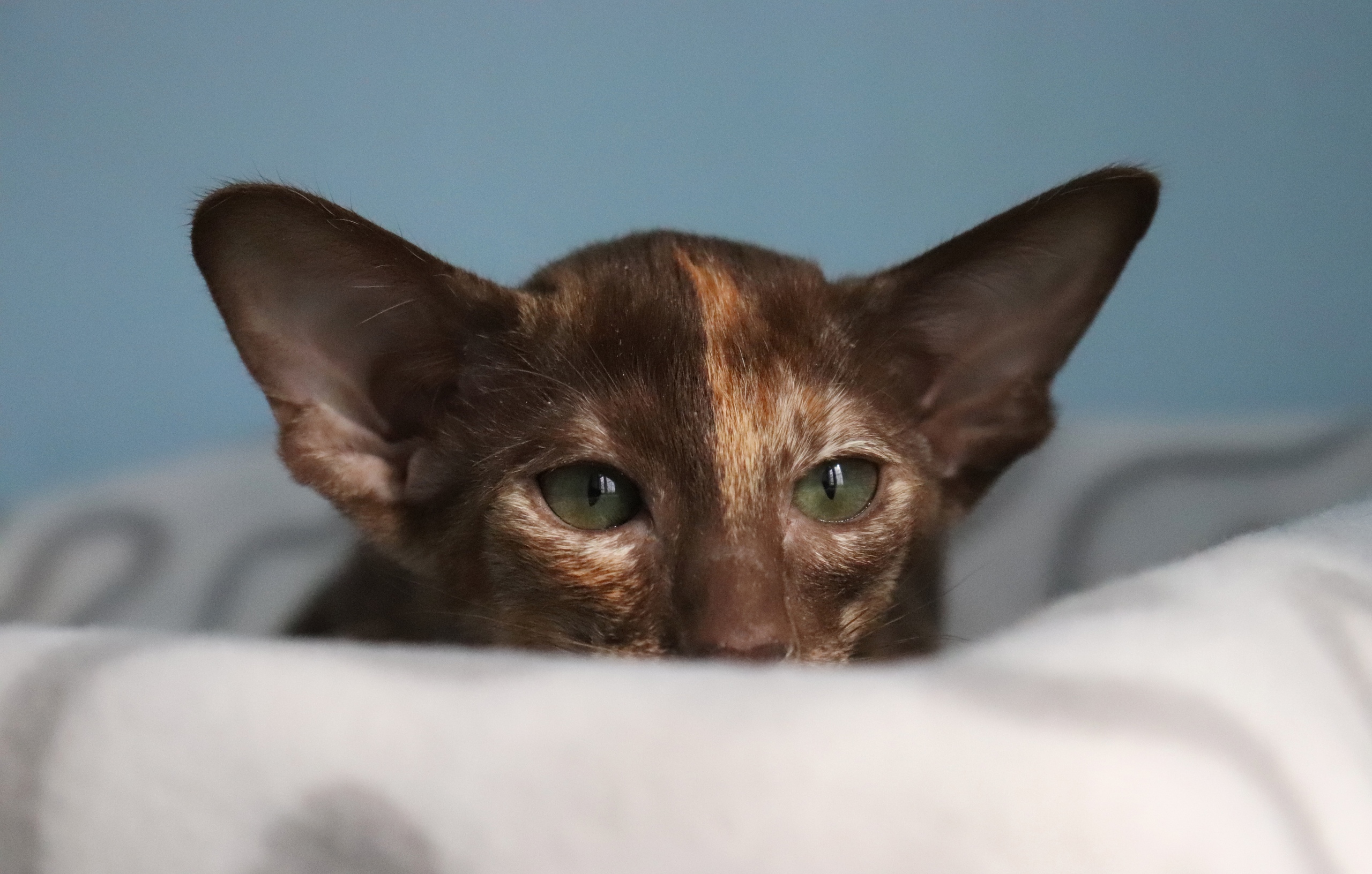 Меня не видно