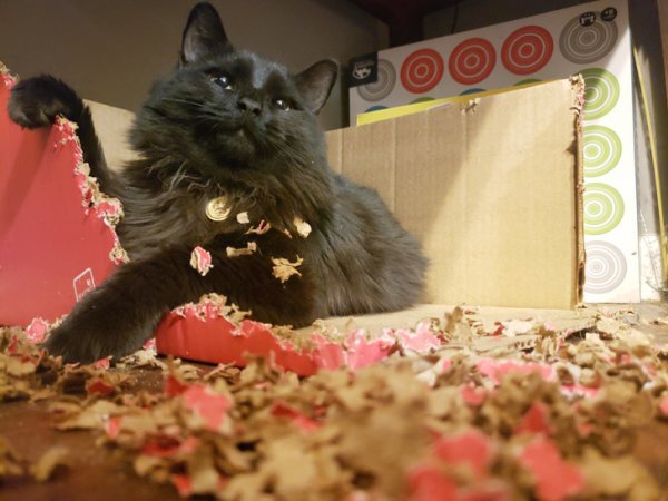 Сейчас немножко подравняю