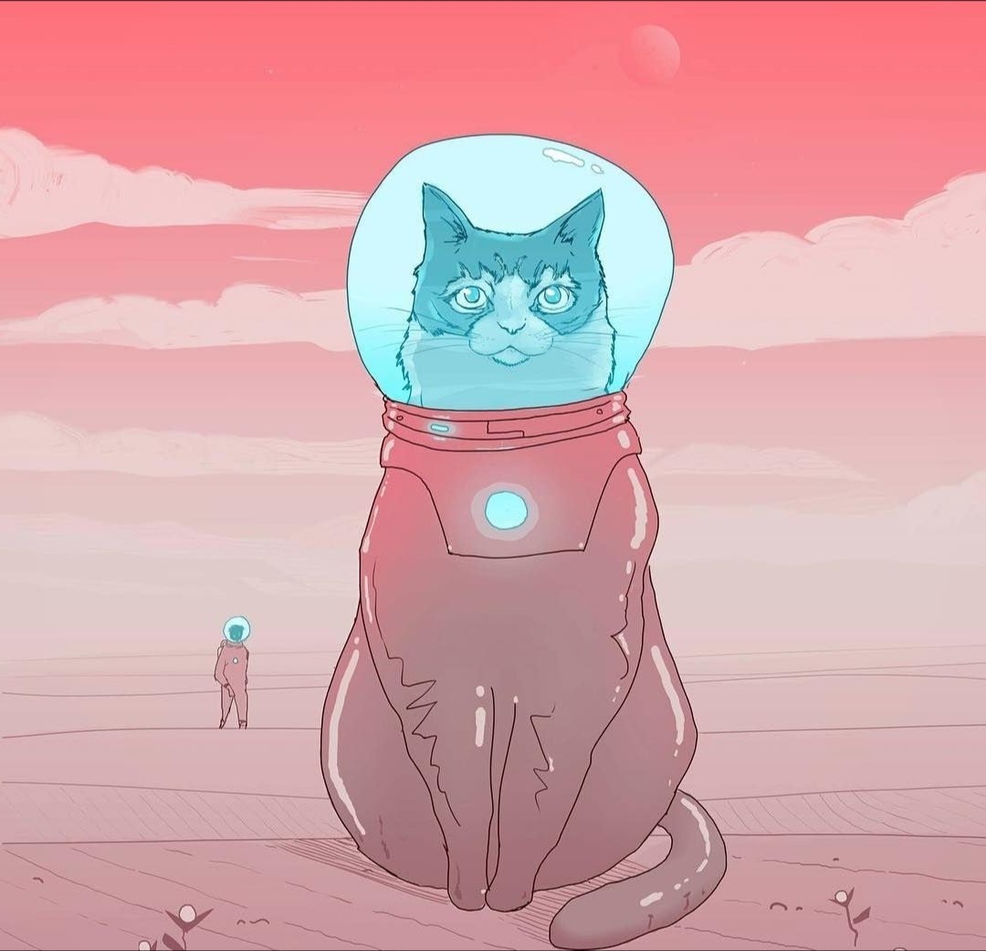Кот космонавт