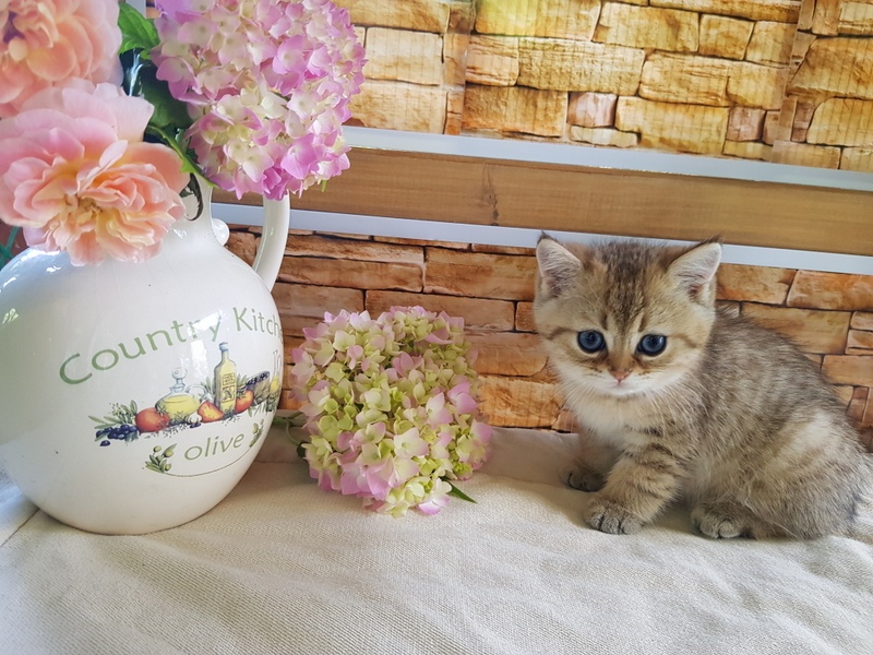 Что же с ними делать