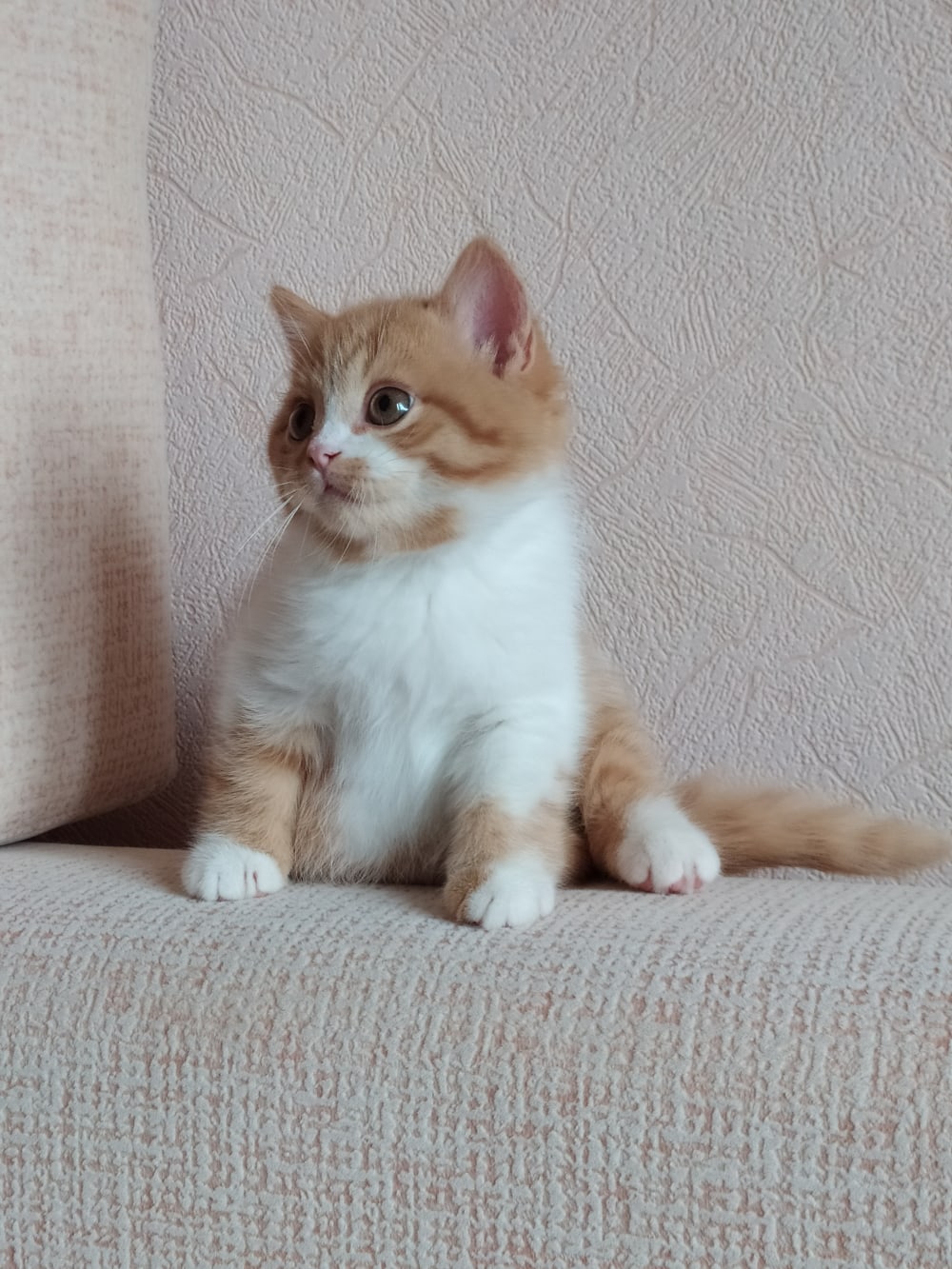 Кто первый, меня нянчить