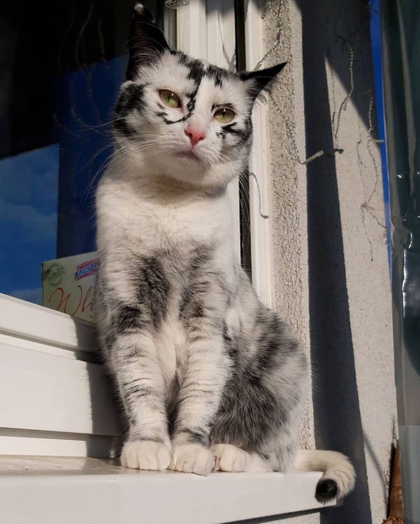 Посижу, подышу