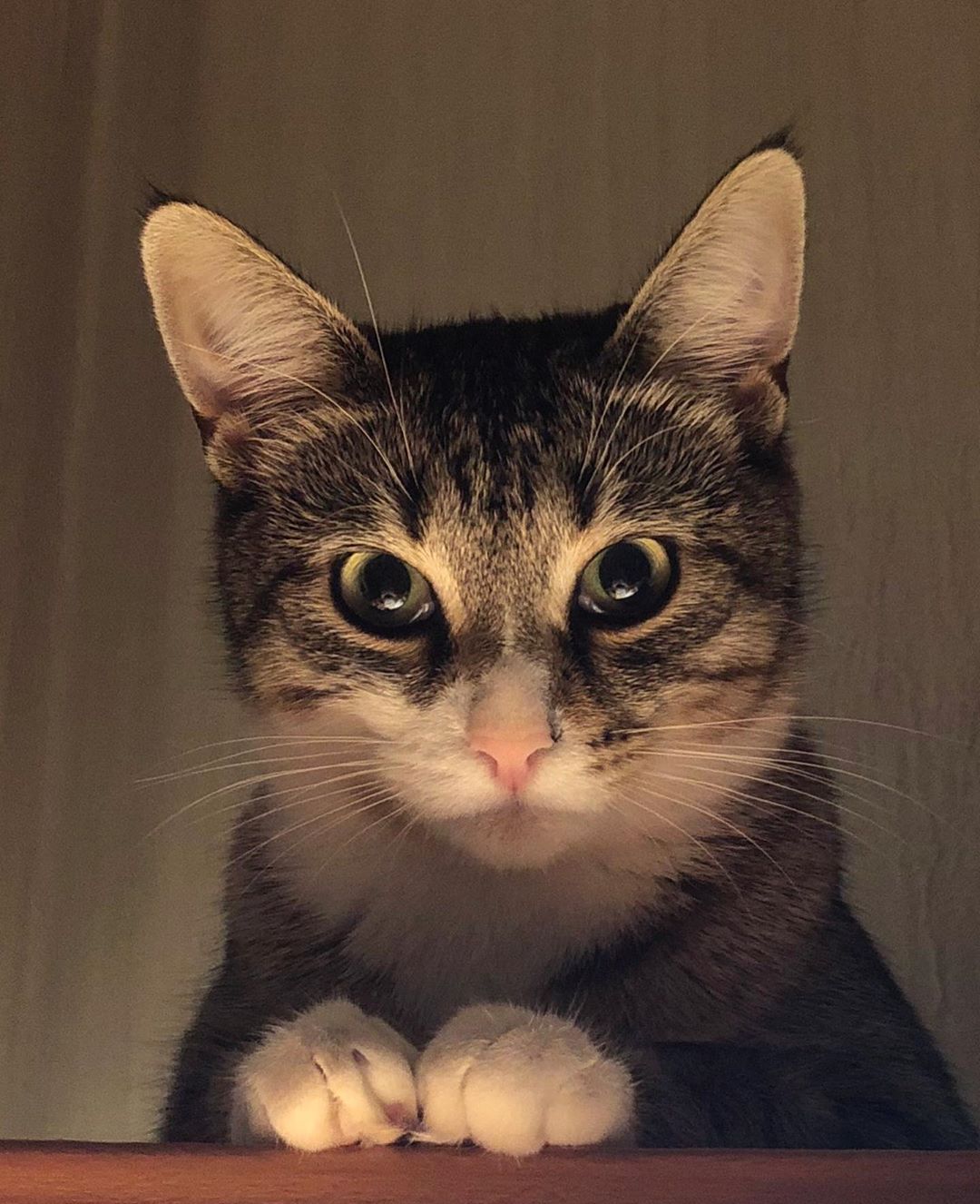 А сейчас, я расскажу Вам сказку