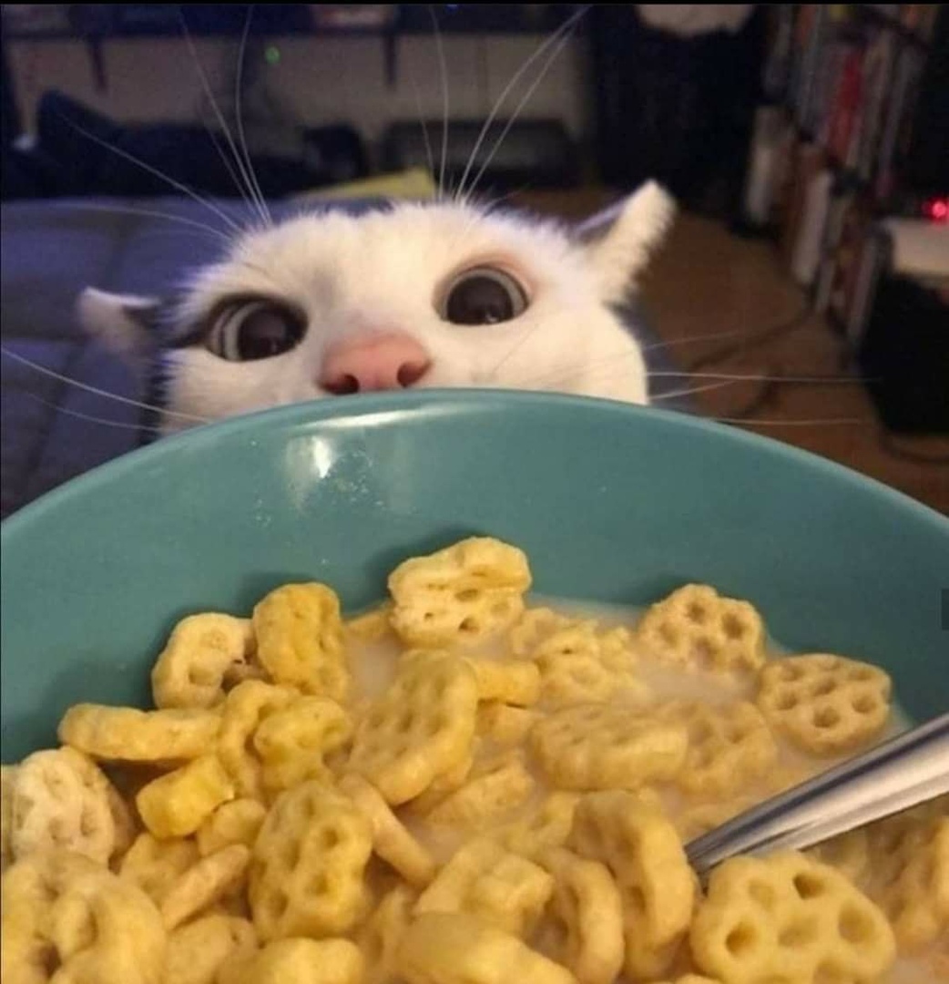 Последнее молоко забрали