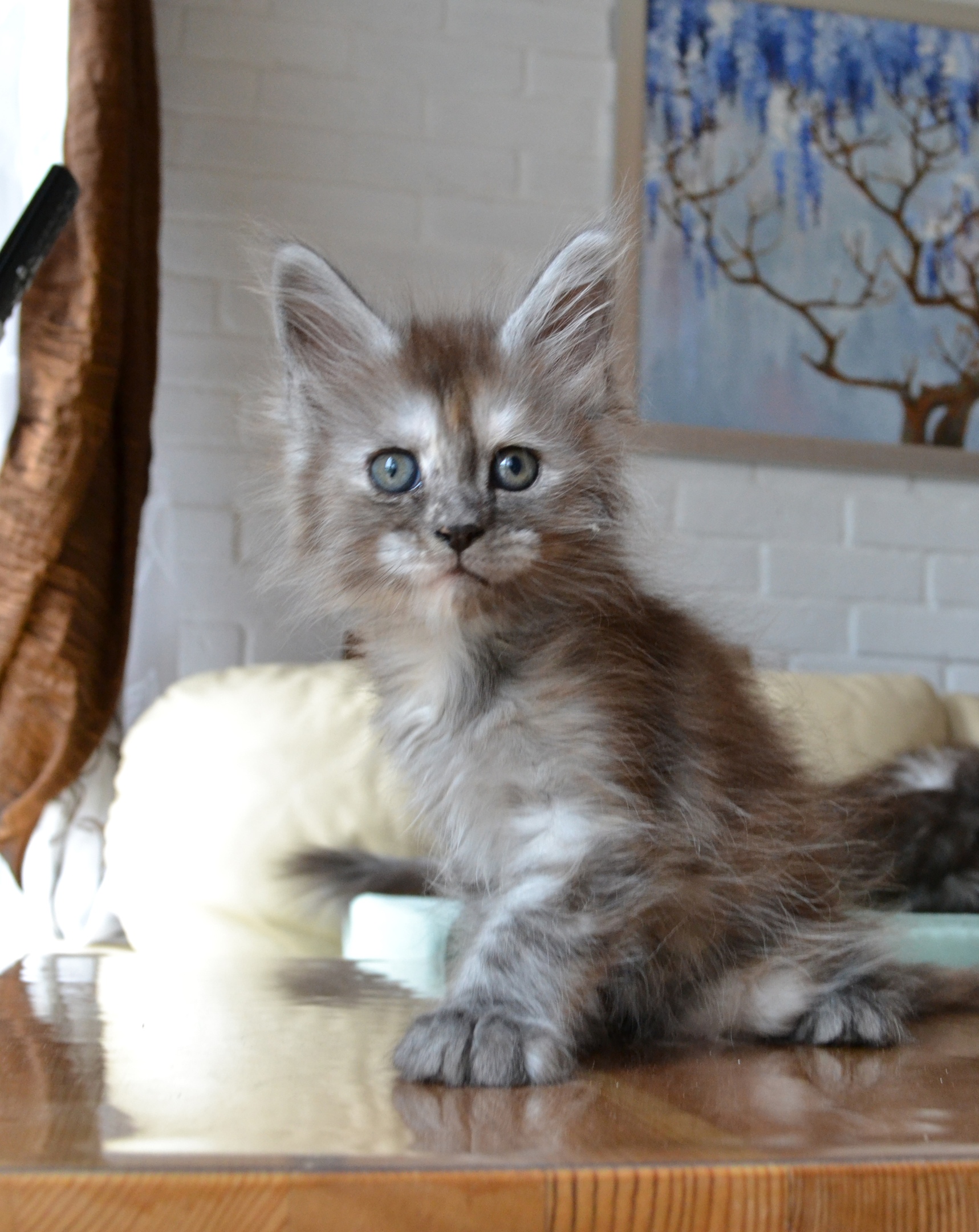 Разве на столе нельзя лежать