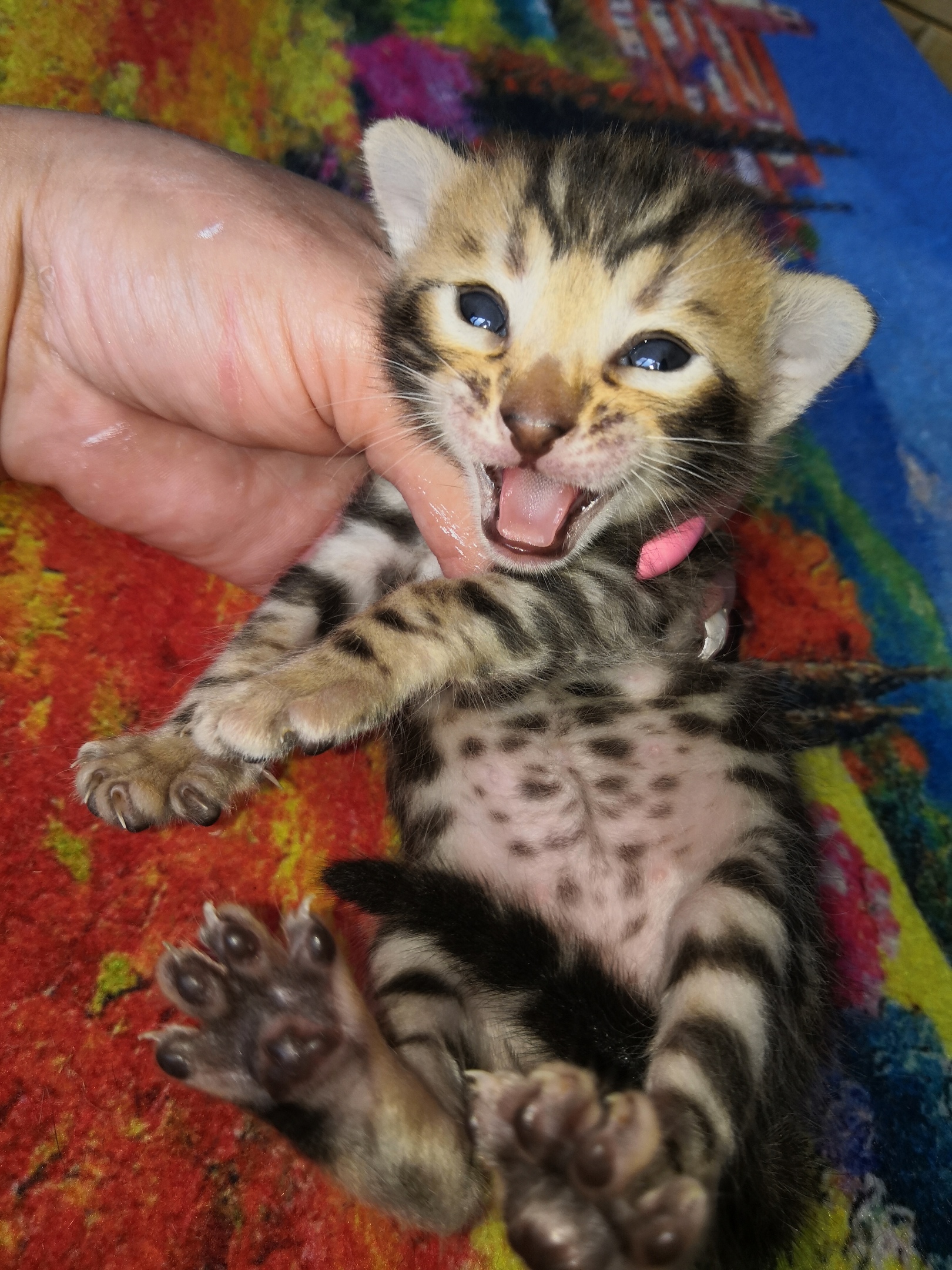 Спасите, помогите, меня трогают