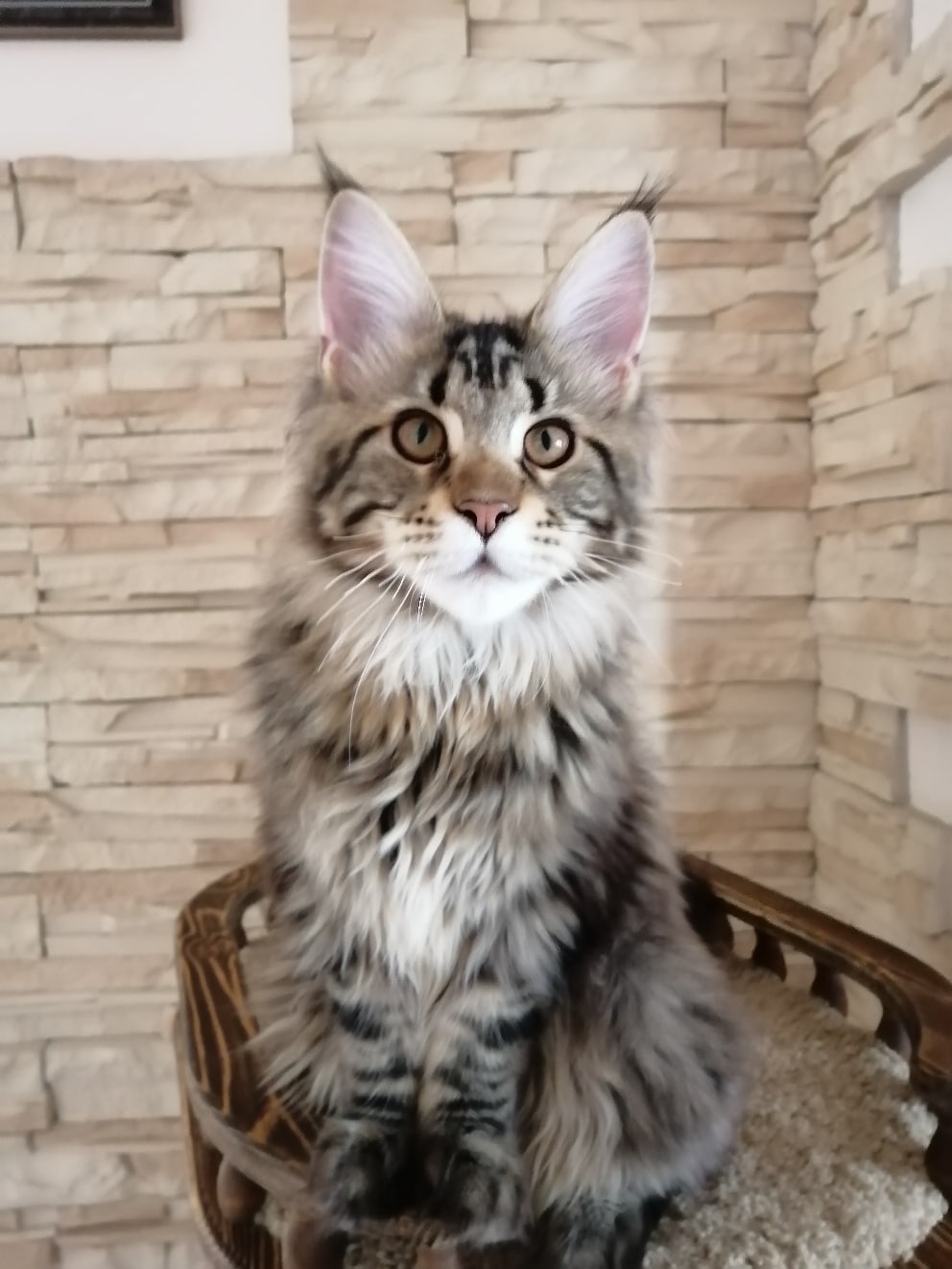 Я буду скучать