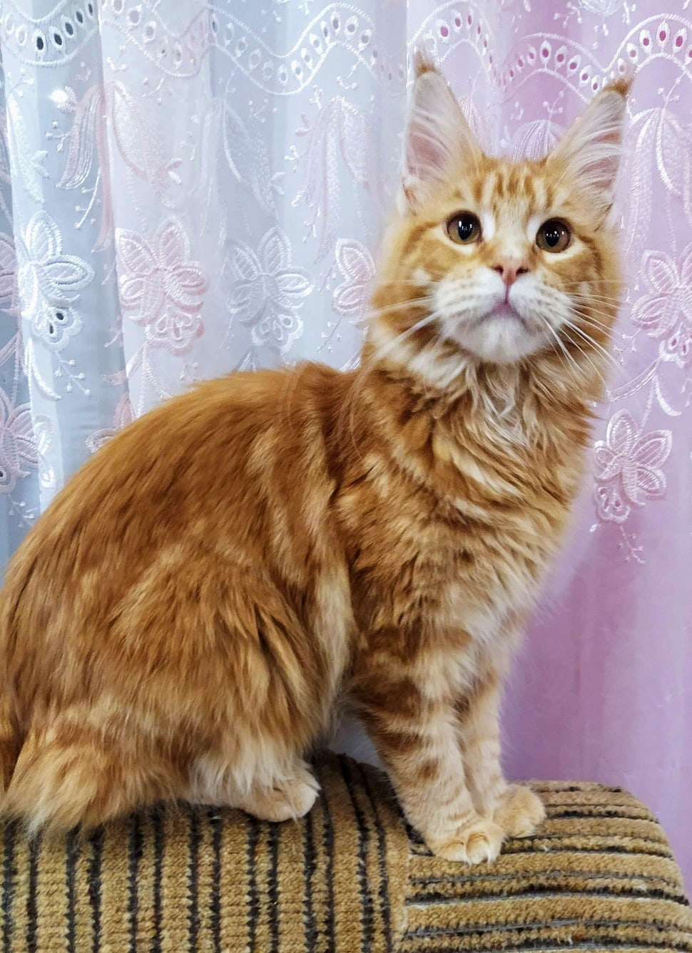 Играть будем