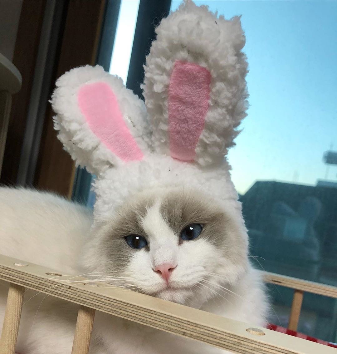 Заинька в кроватке