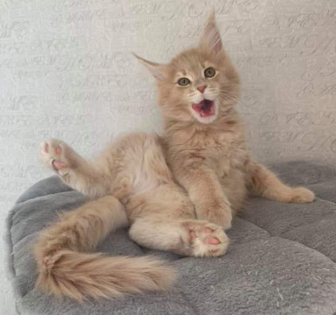 Какой я сладкий