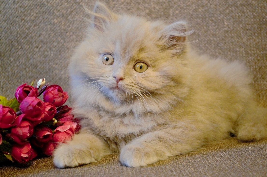 Необычайная красота