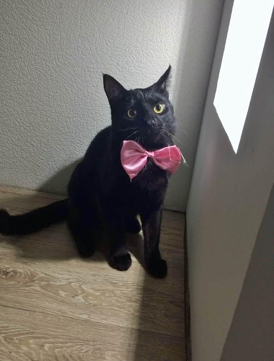 В ожидании гостей