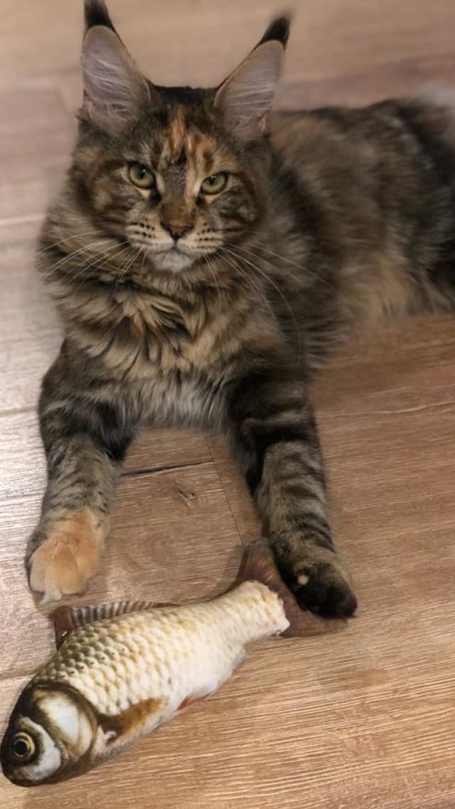 Сходил на рыбалку