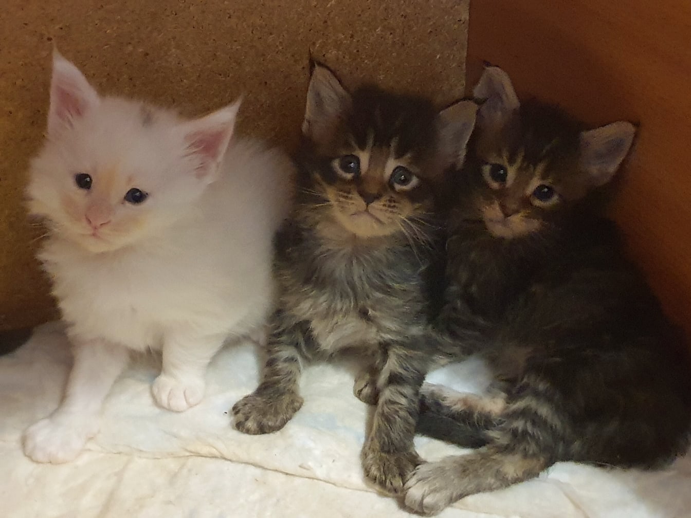 Жмёмся мы друг к дружке, чтоб не страшно было