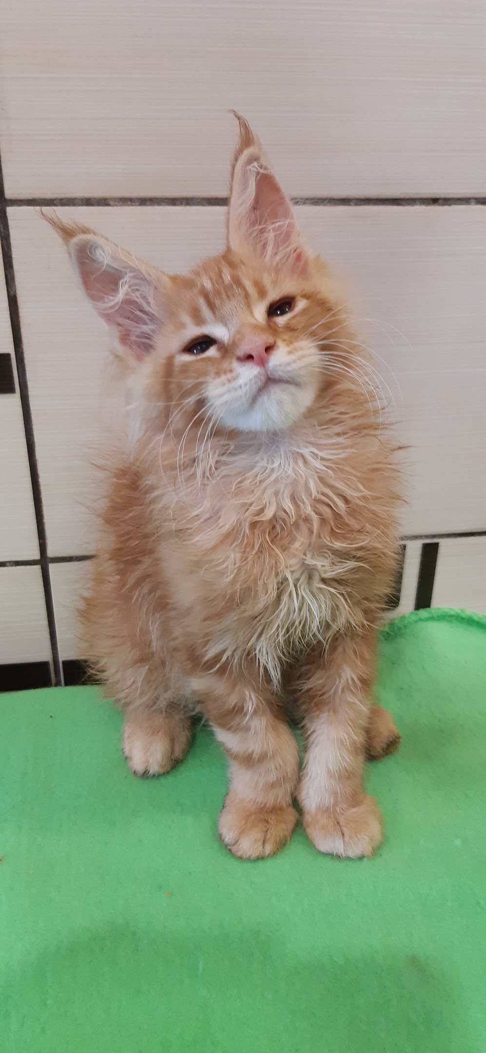 Не слепите мне глазки