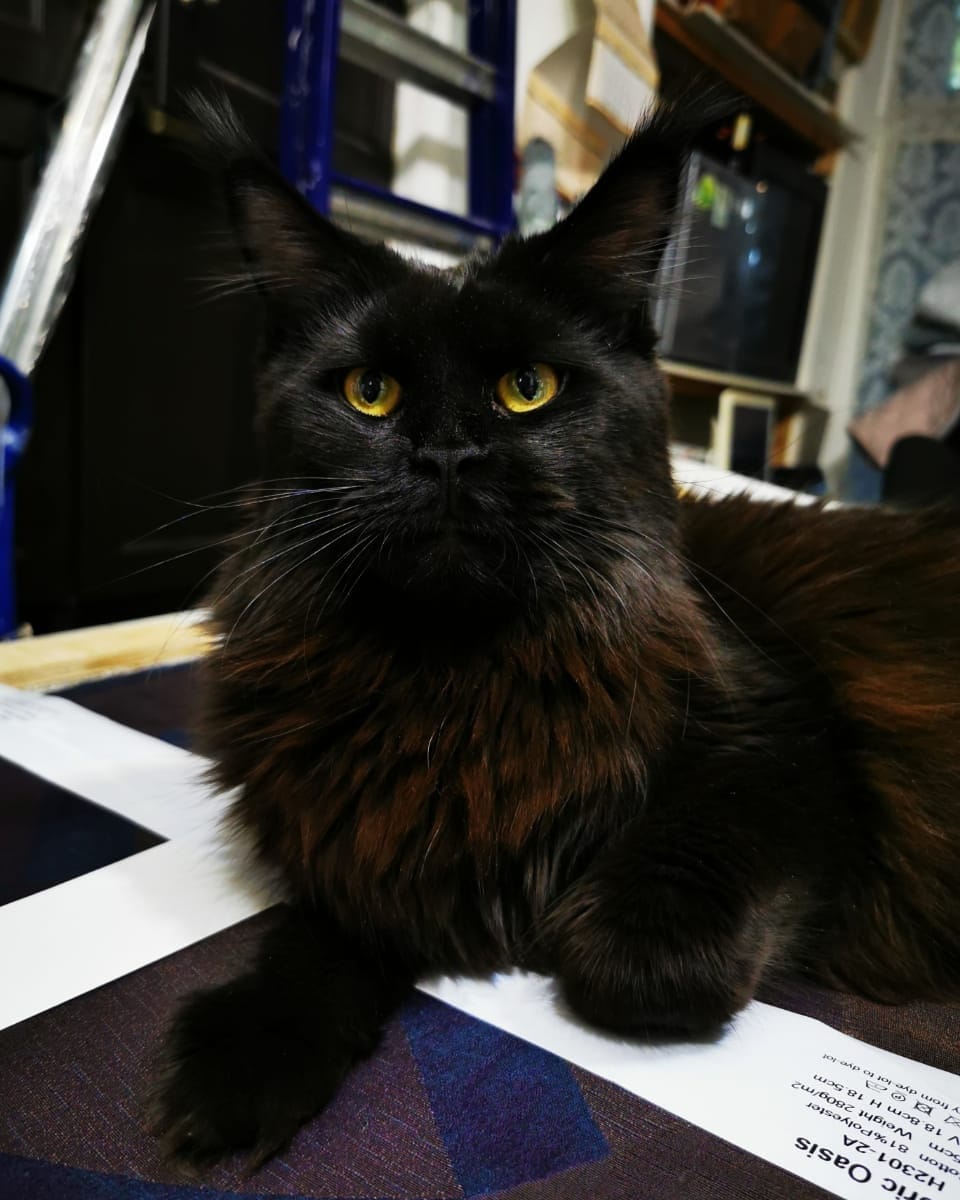 Руководитель ремонта