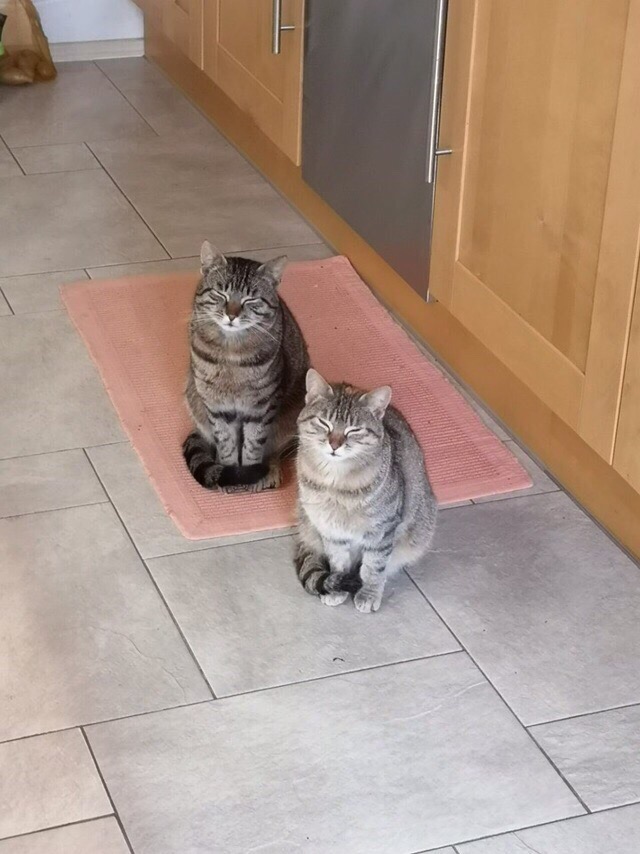 Ждуны по - китайски