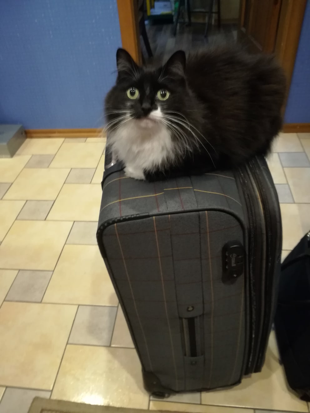 Без меня никакого отпуска не будет