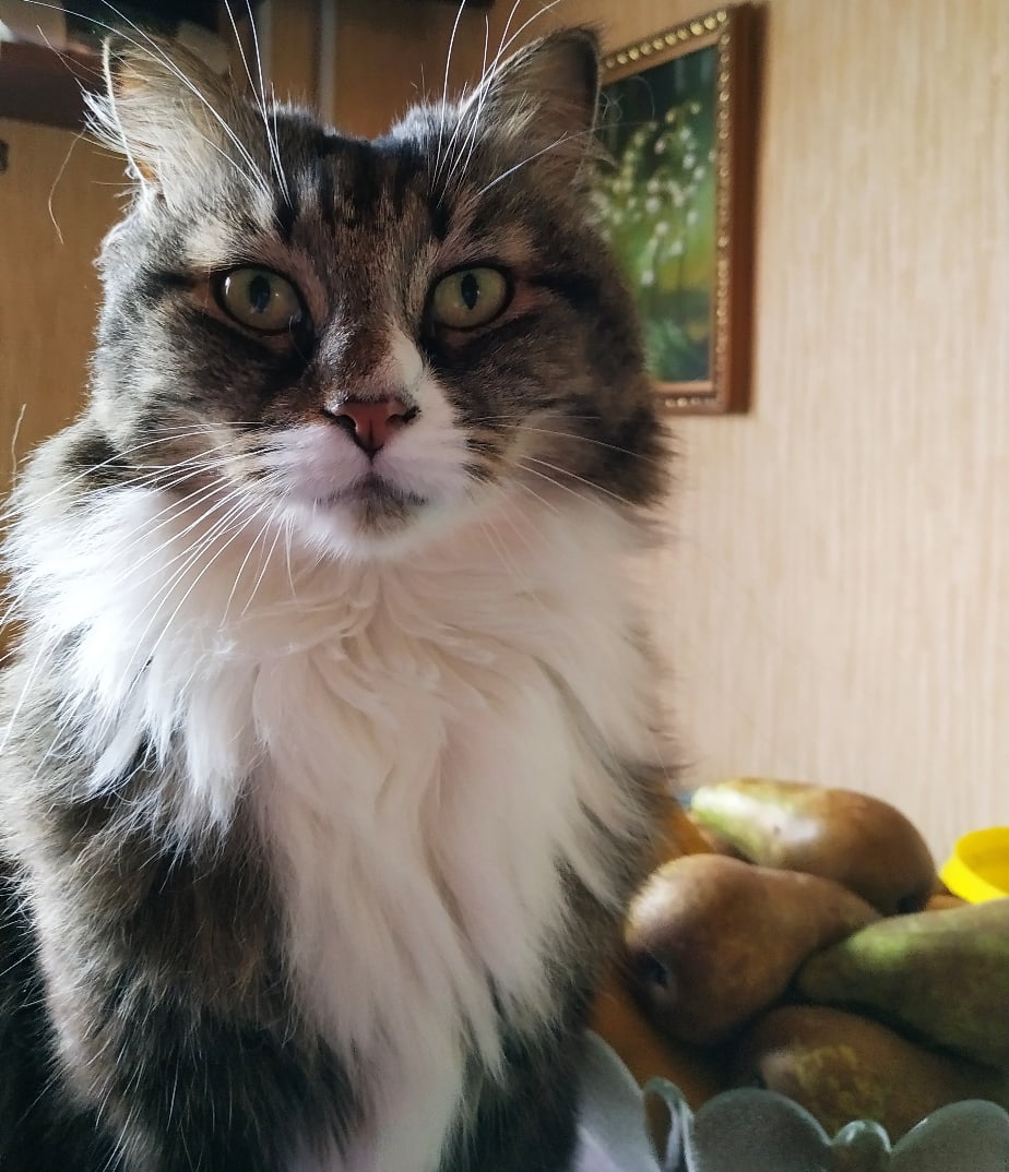 А что, кроме груш ничего нет