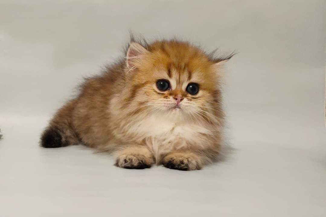 Далеко не отходите, а то мне страшно