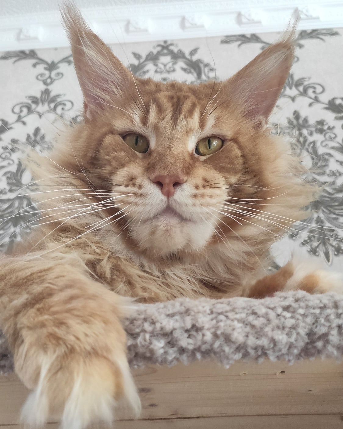 Давайте пообщаемся