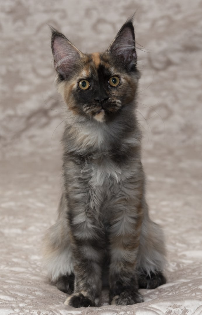 Давайте дружить