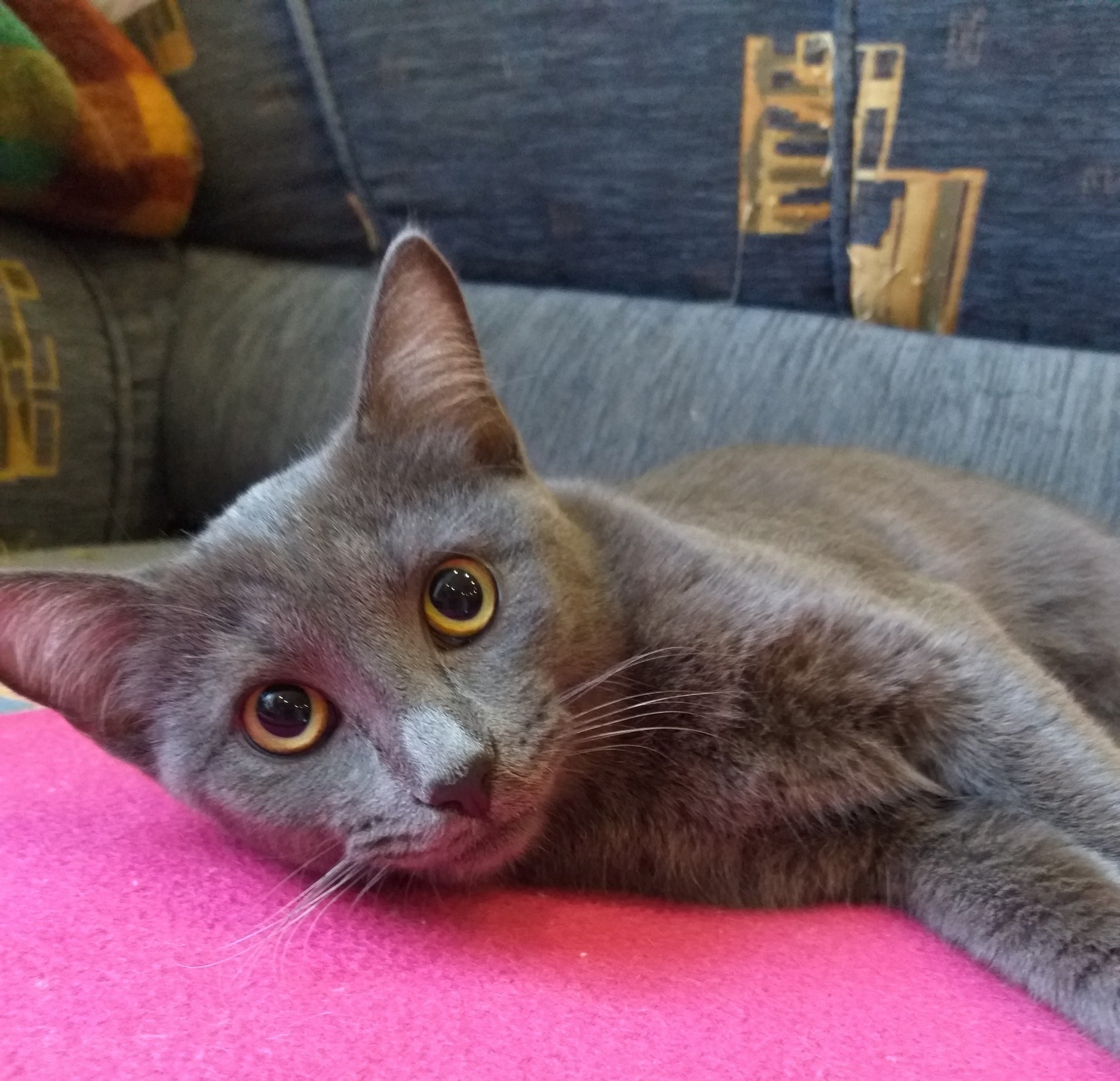 Я ничего не делал