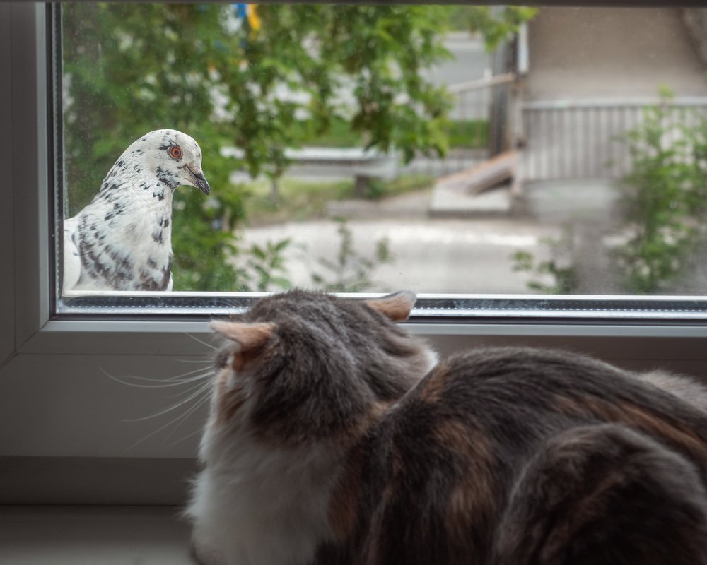 В гости можно