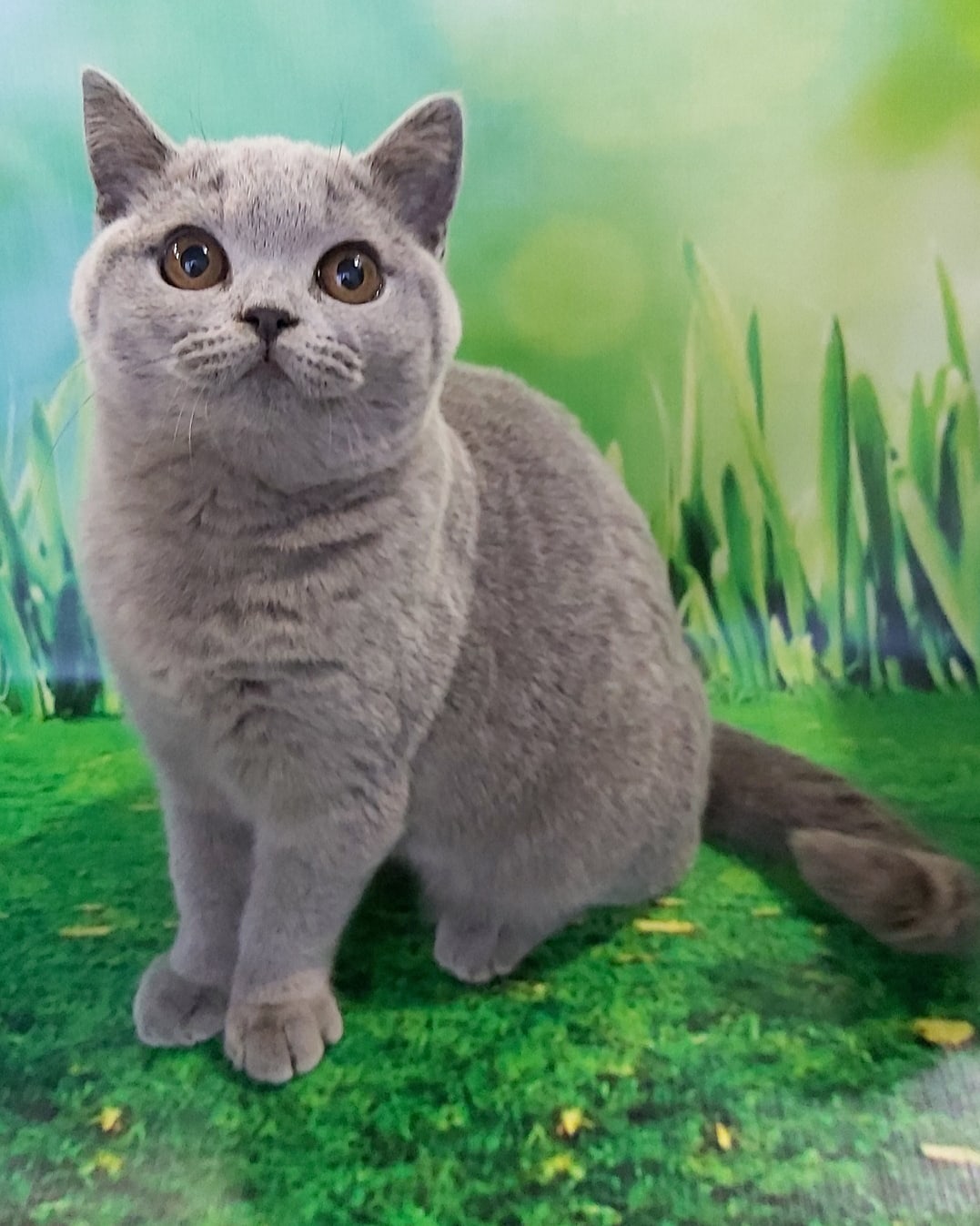 Хотелось на природу, а получила вот это