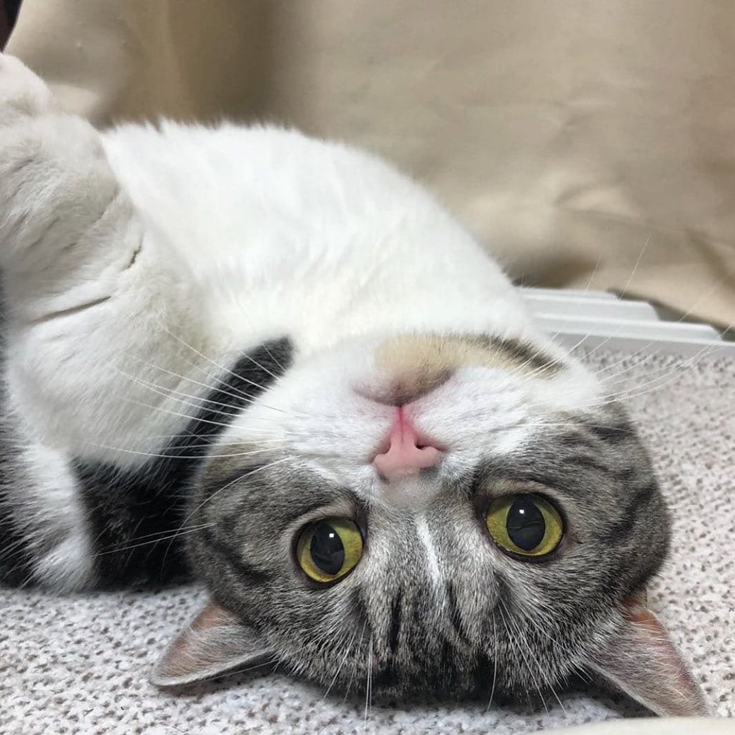 Что бы такого быстро нашкодить