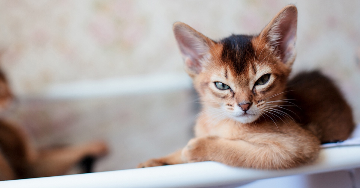 Вы по записи