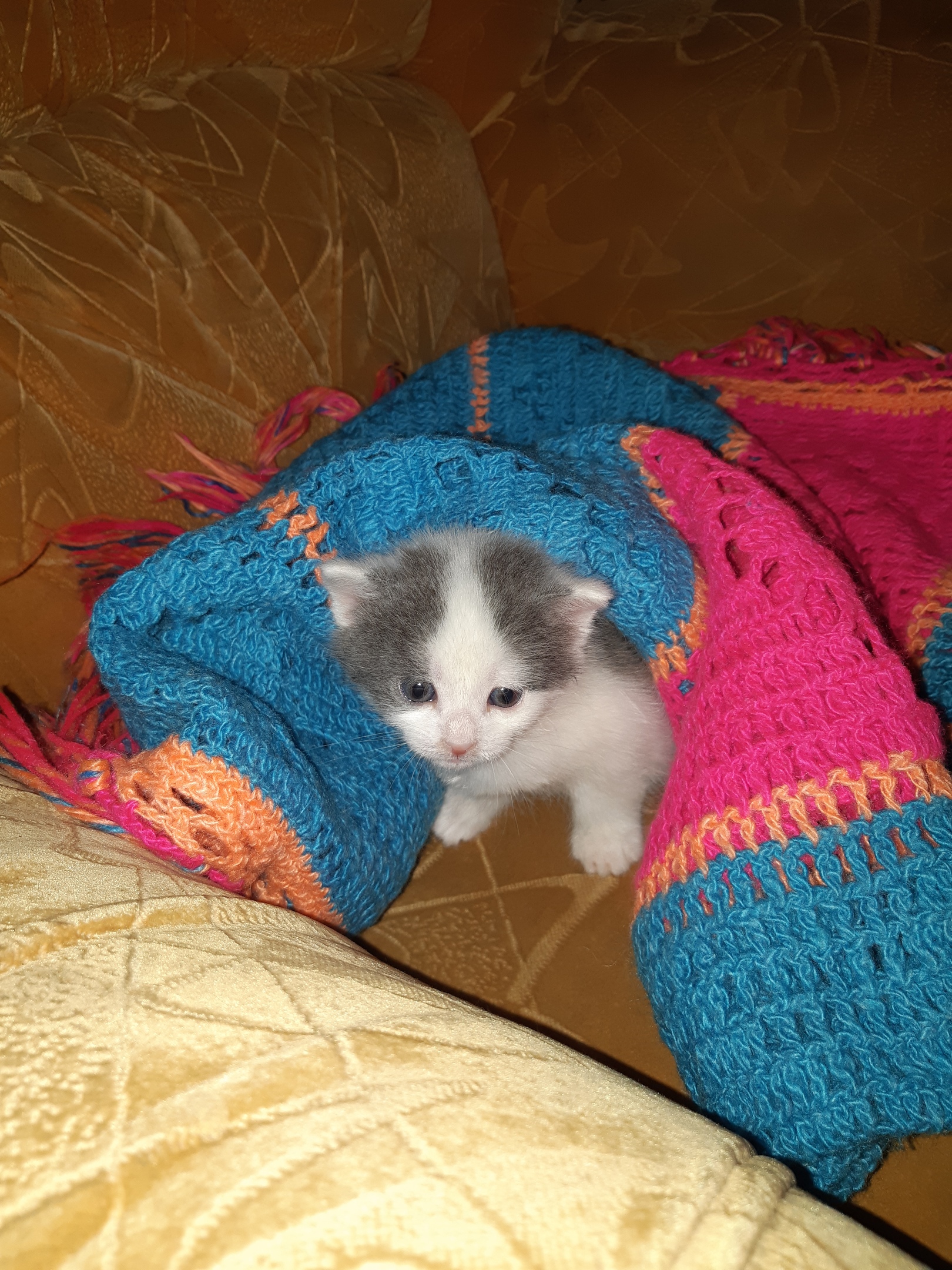 Как бы не замёрз