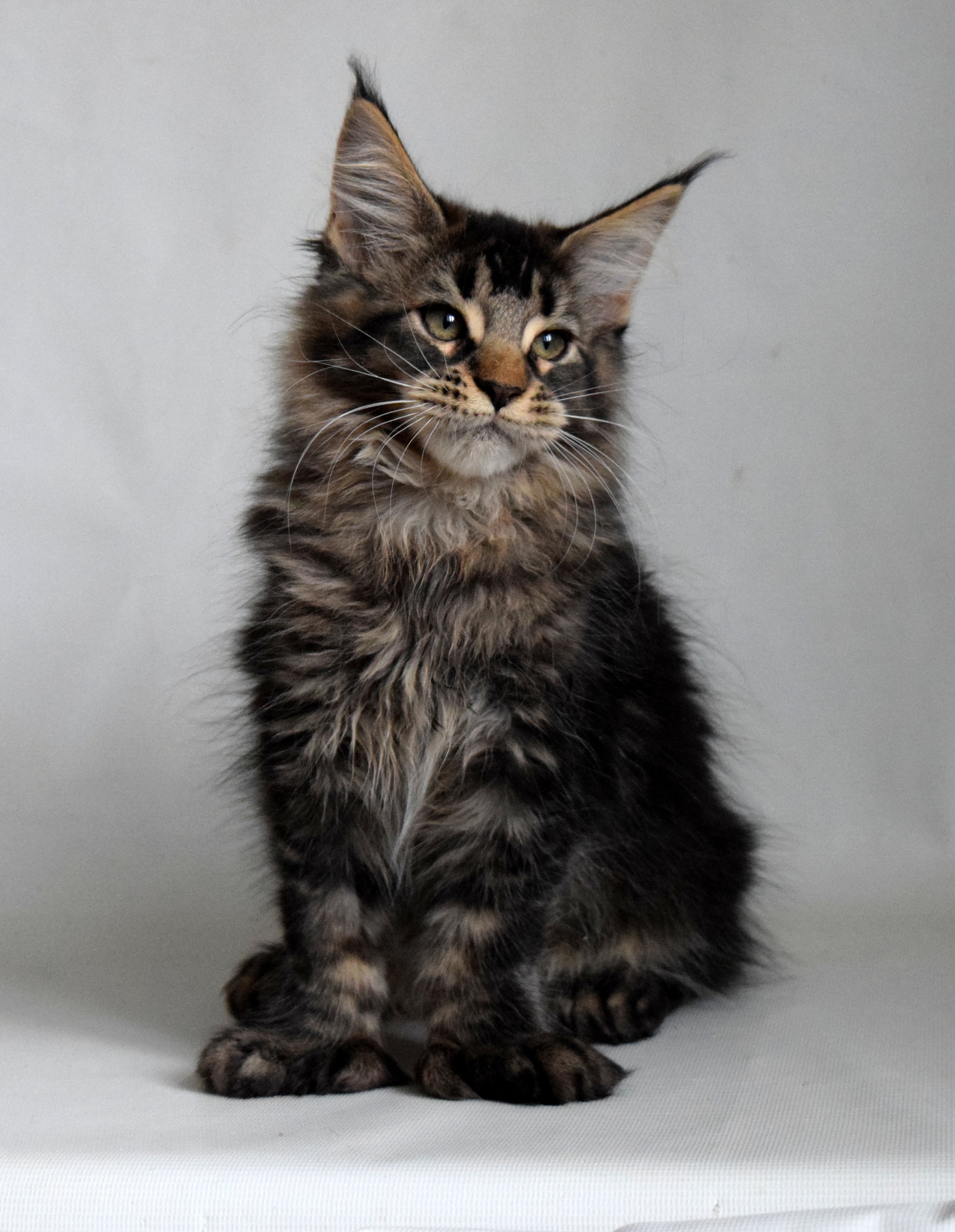 Стеснительный обаяшка