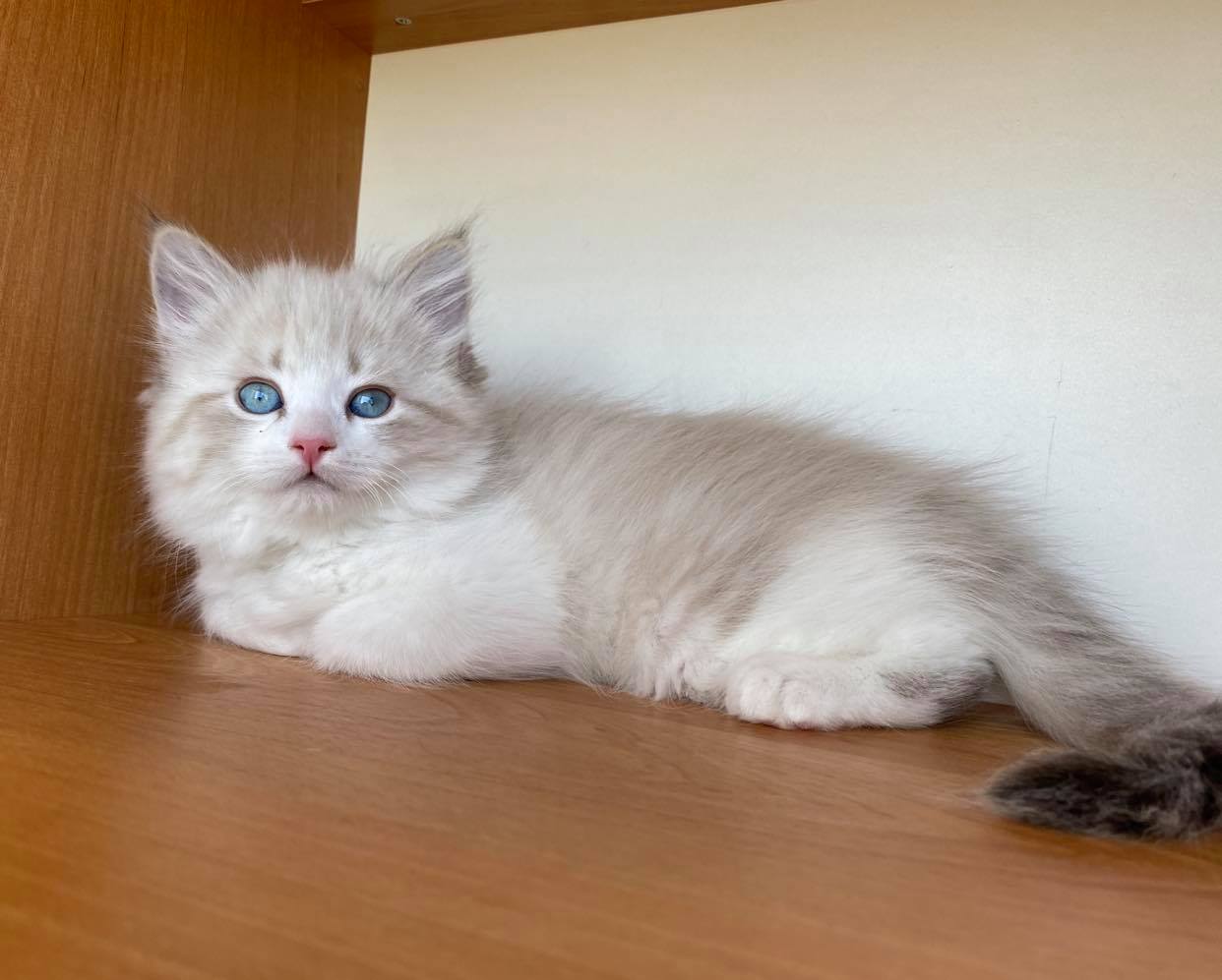 Дайте отдохнуть